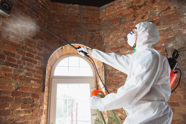 Edmonds, WA Mold Removal Company